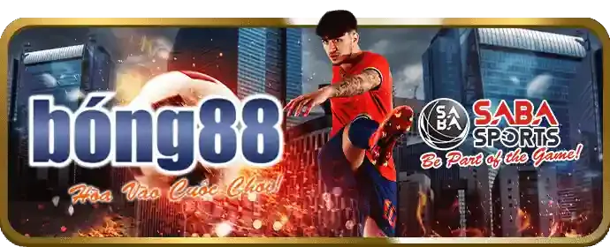 Đá gà trực tuyến AW8